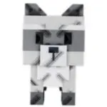 Racoon Pet